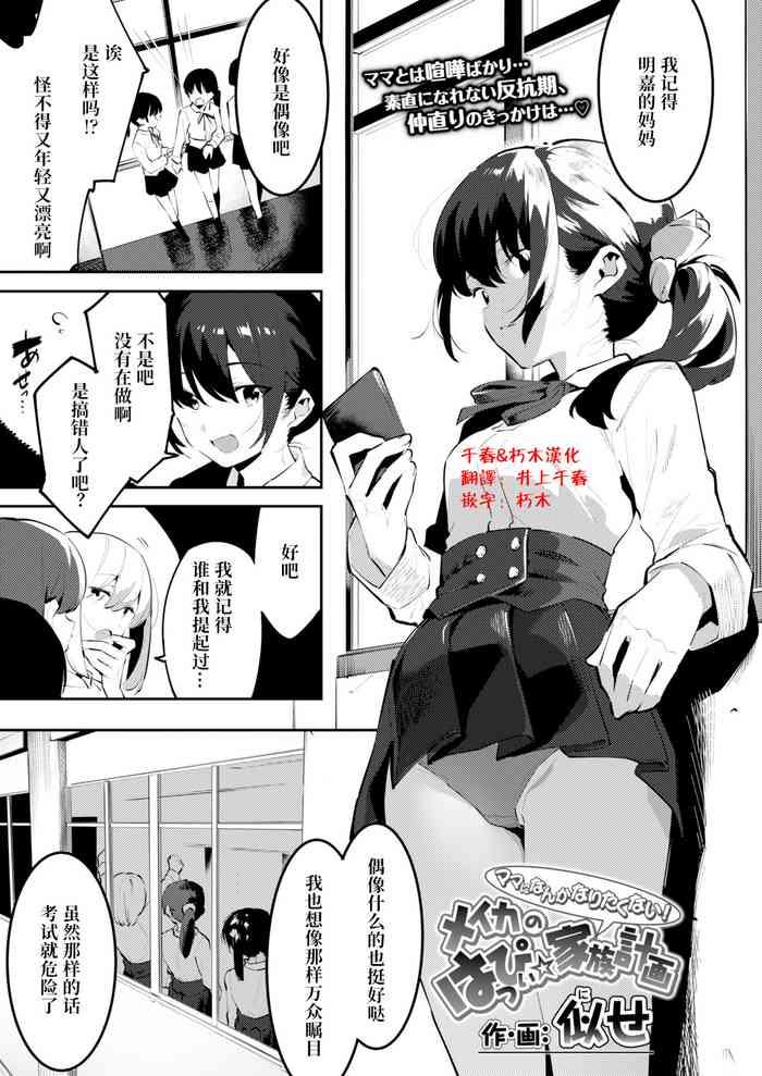 meika no happi kazokukeikaku（chinese）