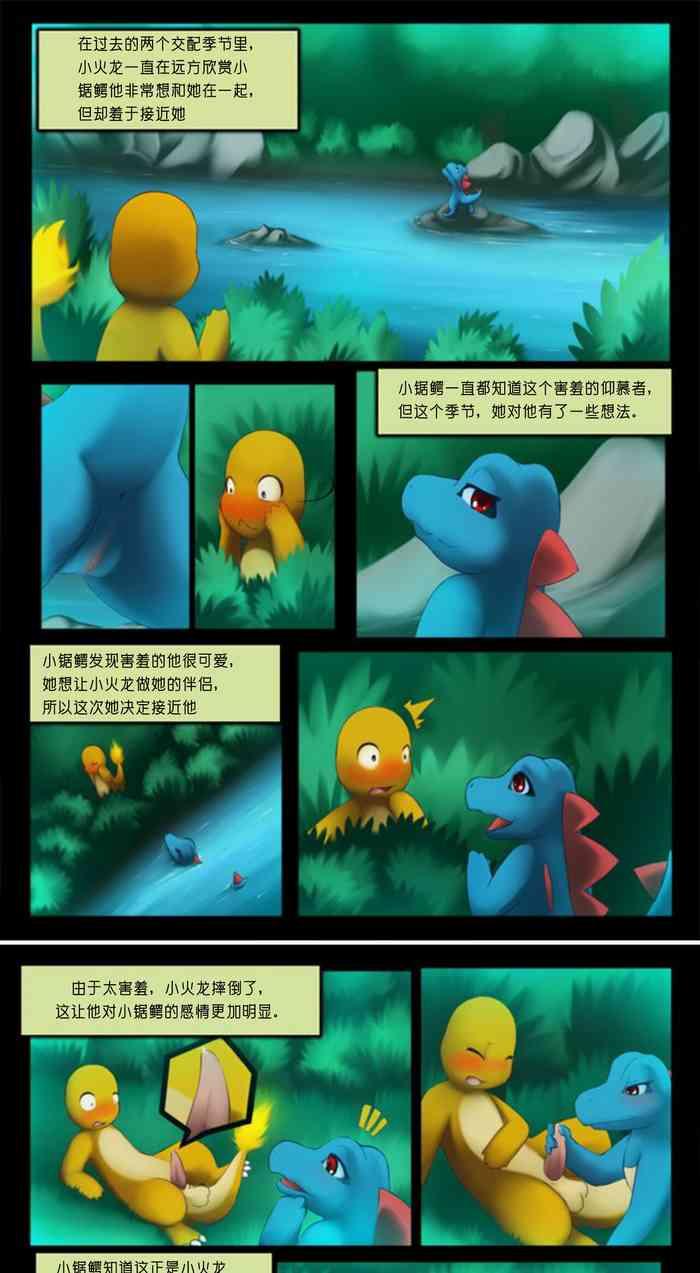 charmander X totodile