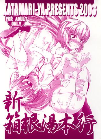 Shin Hakone Yumotoiki