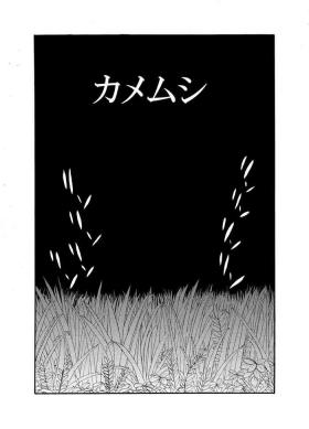 Shiriizu Kamemushi
