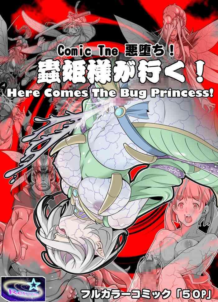 Comic The Akuochi! Mushihimesama ga Iku! Here Comes The Bug Princess!