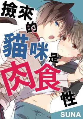 Hirotta neko wa nikushokudeshita 3-Kan ‖