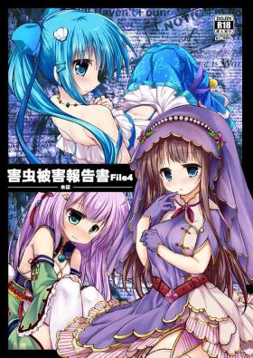 Gaichuu Higai Houkokusho File 4