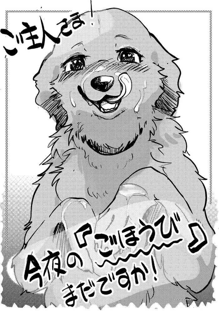 Goshujin-sama! Konya no "Gohoubi" Mada desu ka!