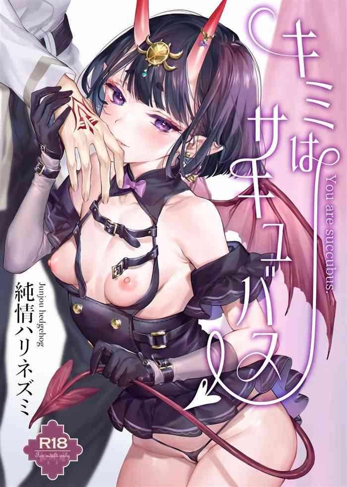 Kimi wa Succubus