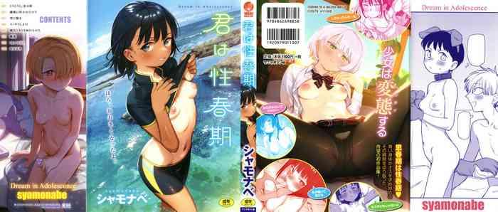 Kimi wa Seishunki