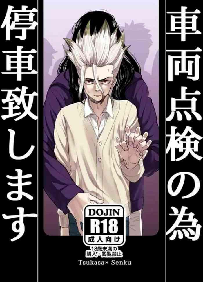Sharyō Tenken no Tame Teisha Itashimasu - Dr. Stone dj
