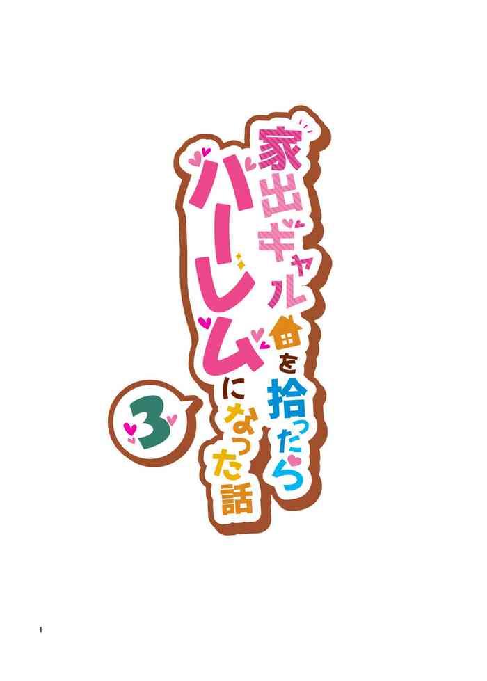 Iede Gal o Hirottara Harem ni Natta Hanashi 3