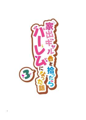 Iede Gal o Hirottara Harem ni Natta Hanashi 3