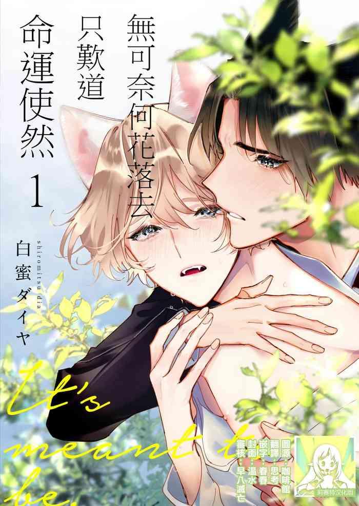 Dou Shiyou mo nai Hodo ni, Unmei | 无可奈何花落去 只叹道,命运使然 1-5