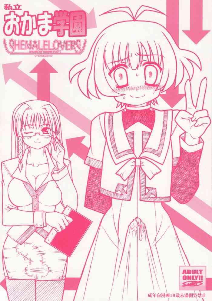 SHEMALELOVERS Vol.14