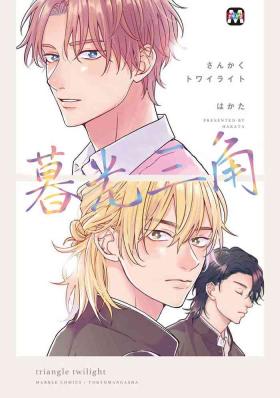 Sankaku Twilight - triangle twilight | 暮光三角