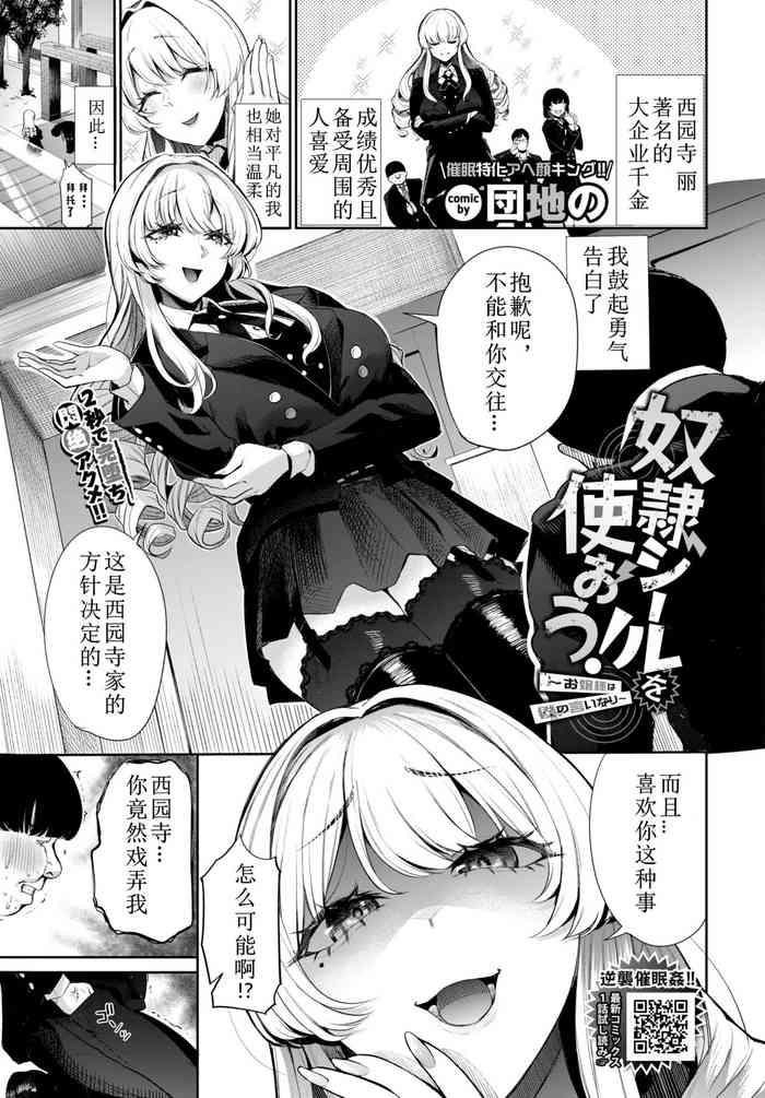 dorei si-ru wo tuka o u！使用努力贴纸！～让大小姐对我言听计从～