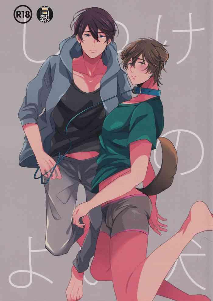 Shitsuke no yoi inu