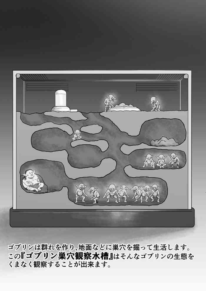 【Shougeki】Goburin no Suana ni Mesu wo Tounyuushite Kansatsushita Kekka ga Yabasugita