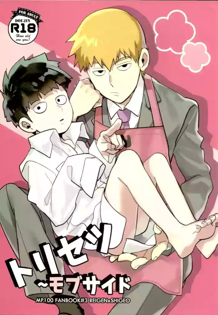 Torisetsu ~ Mob Side – Mob Psycho 100 dj