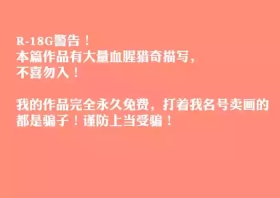 菲莉茜雅的演出相册集