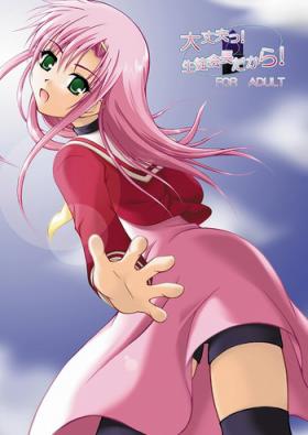 Daijoubu! Seito Kaichou Dakara!
