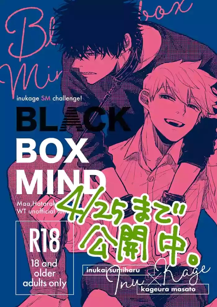 BLACK BOX MIND