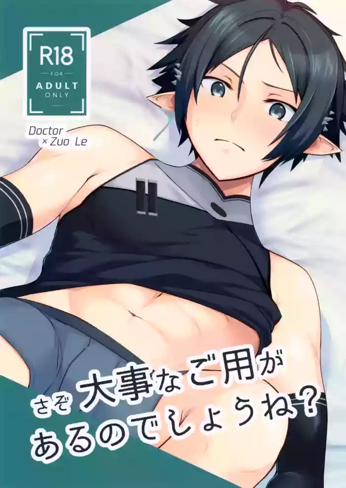 Sazo Daiji na Goyou ga Aru no Deshou ne?