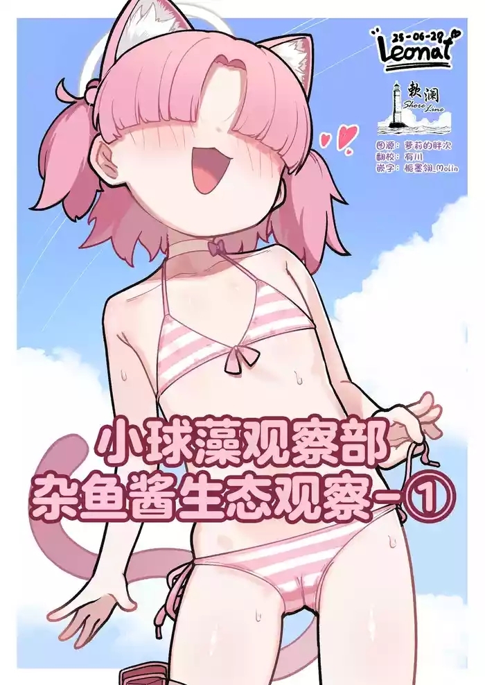 小球藻观察部杂鱼酱生态观察-①