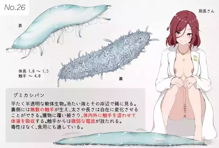 Mushi Research Report No.26