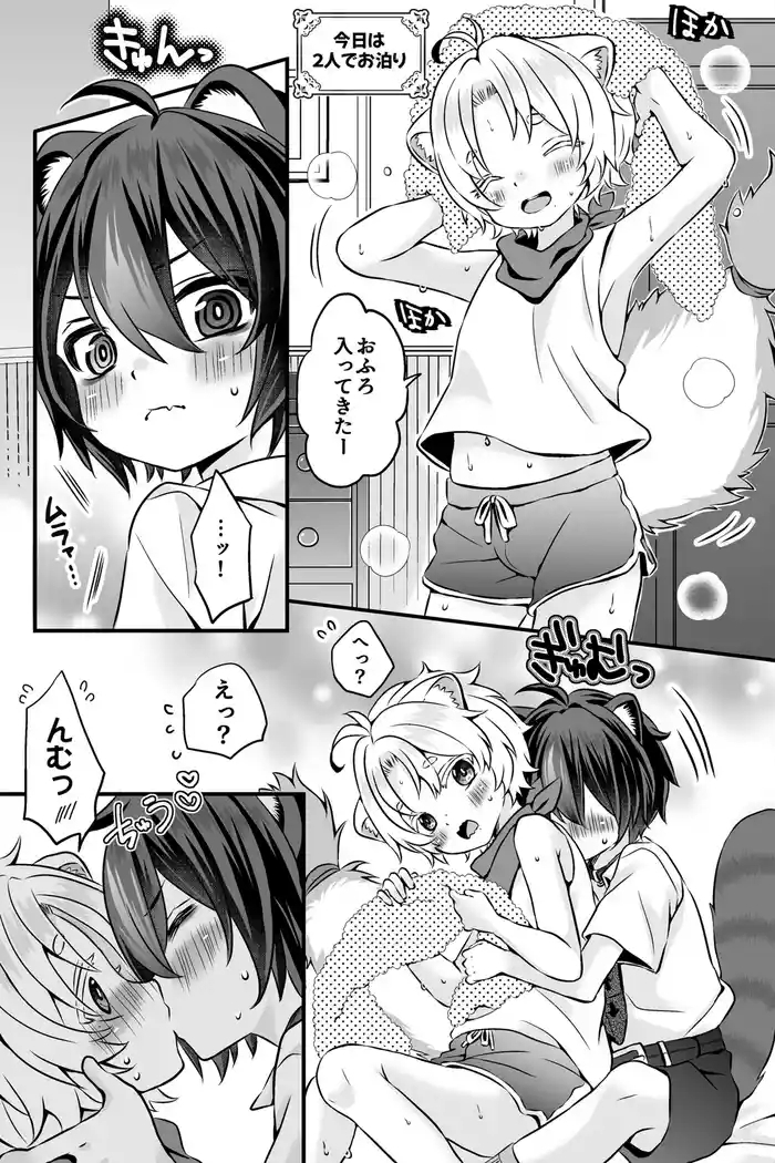Araiguma to Ferret no Otokonoko-tachi no Manga