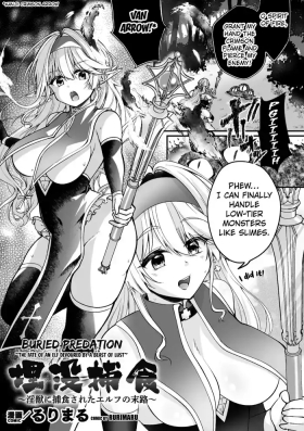 Fate of an Elf