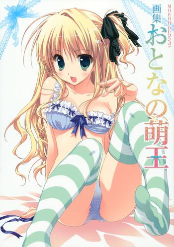 Gashuu Otona no Moeoh
