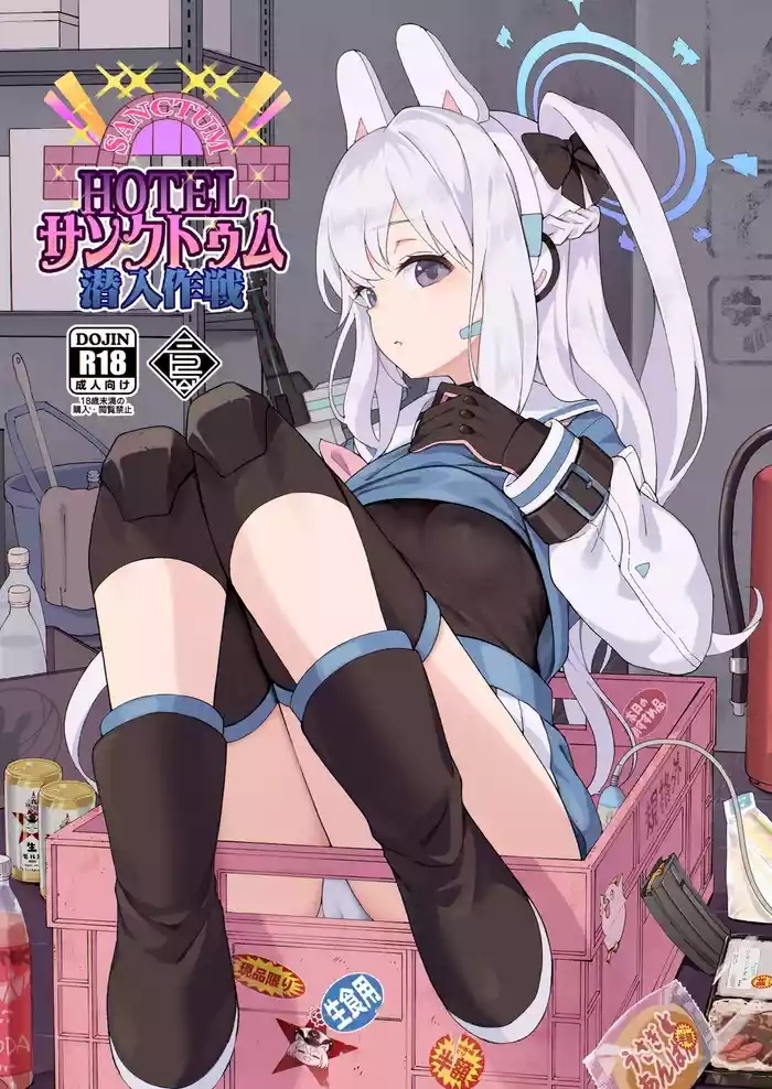 HOTEL Sanctum Sennyuu Sakusen