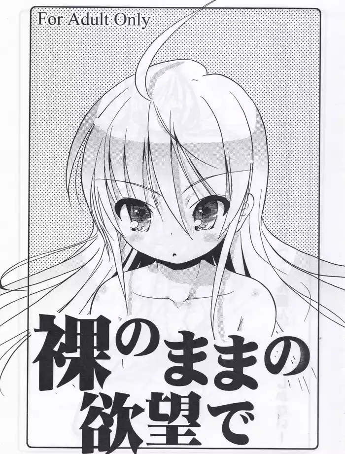 / Naitou Satoshi