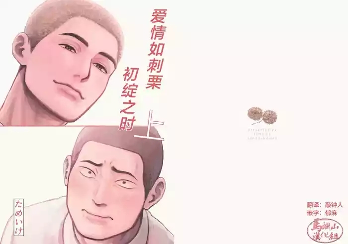 igaguri ga wareru koro ni| 爱情如刺栗初绽之时
