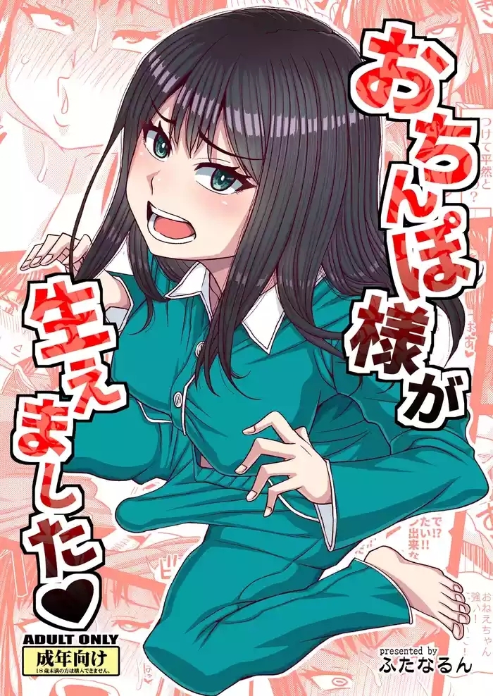 Ochinpo-sama ga Haemashita