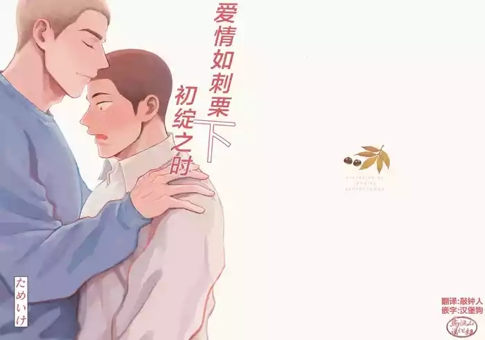 igaguri ga wareru koro ni| 爱情如刺栗初绽之时