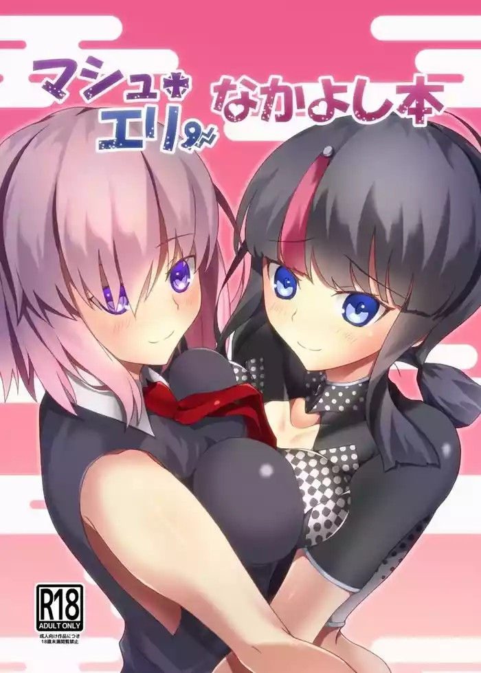 [Masheli Friendship Book[ fate grand order )