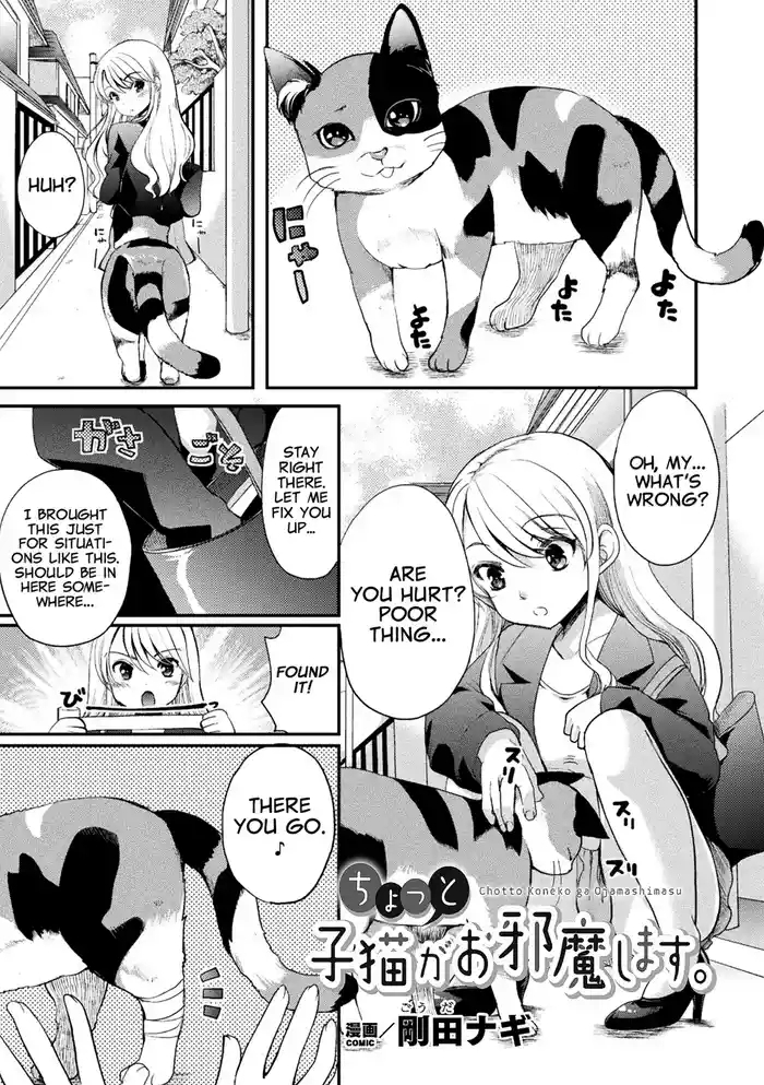 Chotto Koneko ga Ojamashimasu
