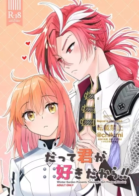 [Datte kimigasukidakara fate grand order )