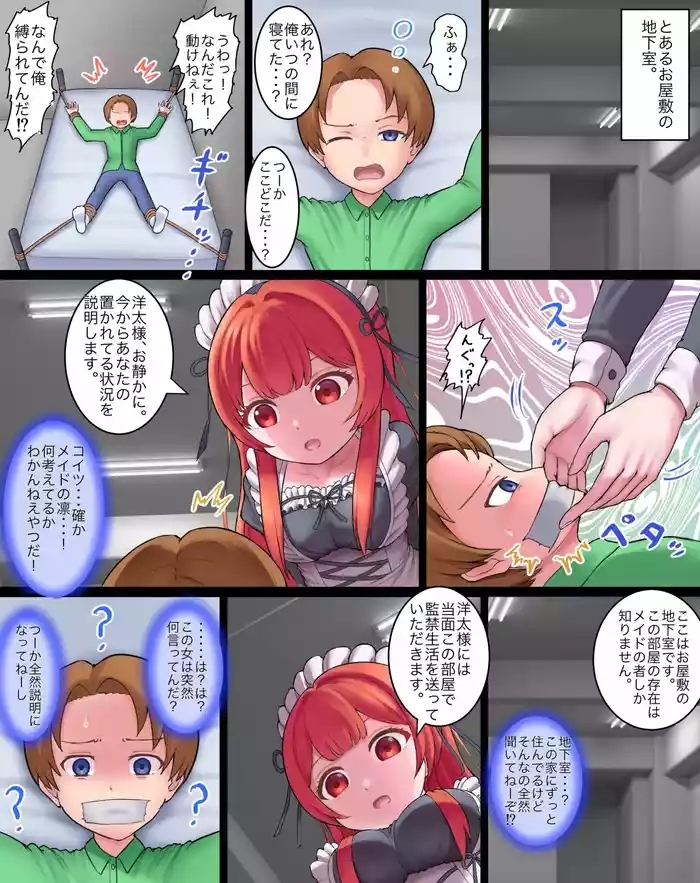 Revenge of the Housekeeper