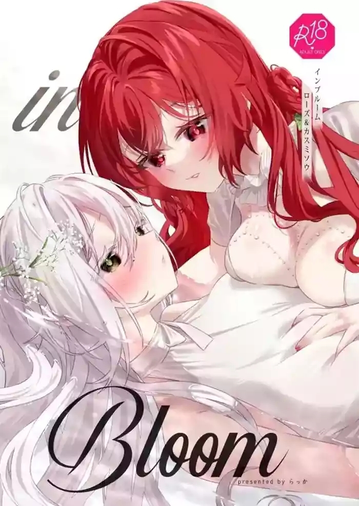 in Bloom - Rose & Gypsophila