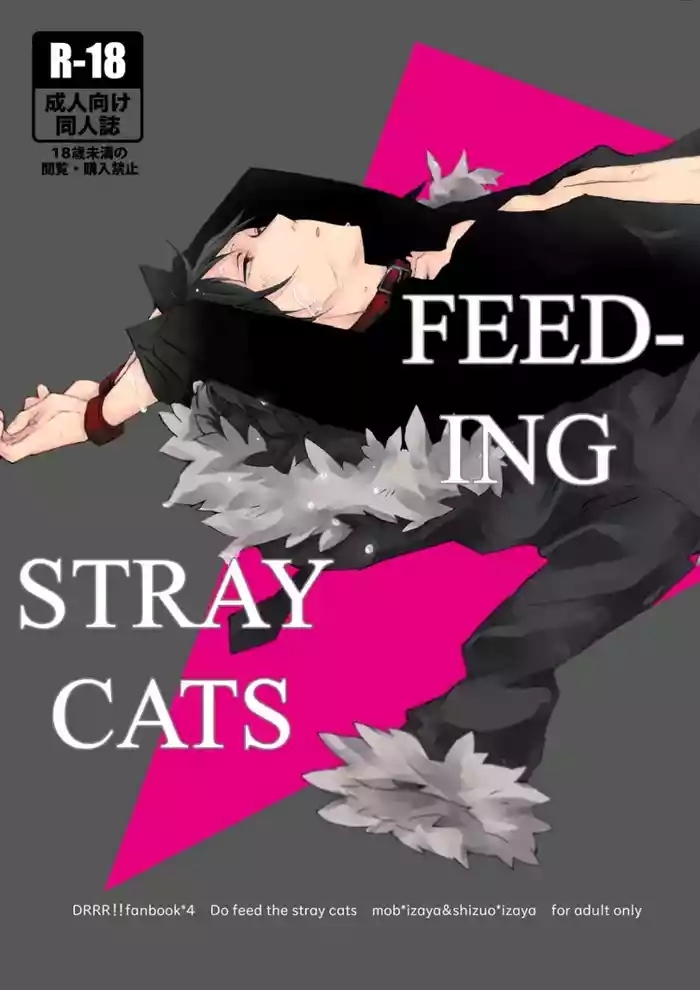 Feeding Stray Cats - Durarara doujin