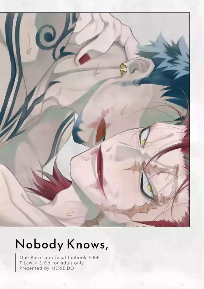 Nobody Knows,