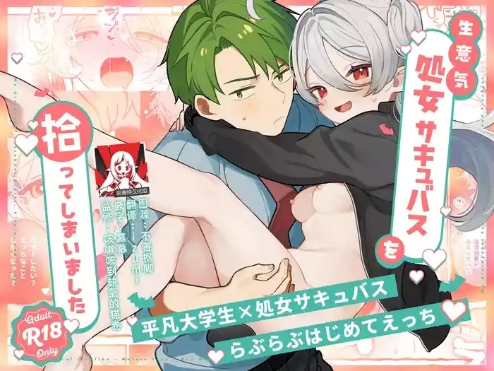 namaiki shojo sakyubasu o hirotte shimaimashita | 不小心捡到了嚣张的处女魅魔