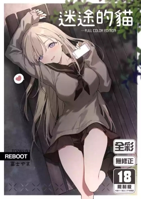 Mayoi Neko｜迷途的貓