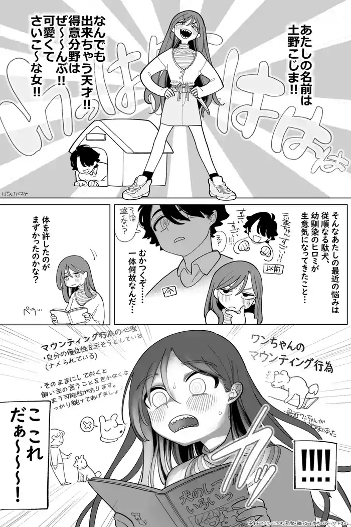 どっちが犬でSHOW! 完全版