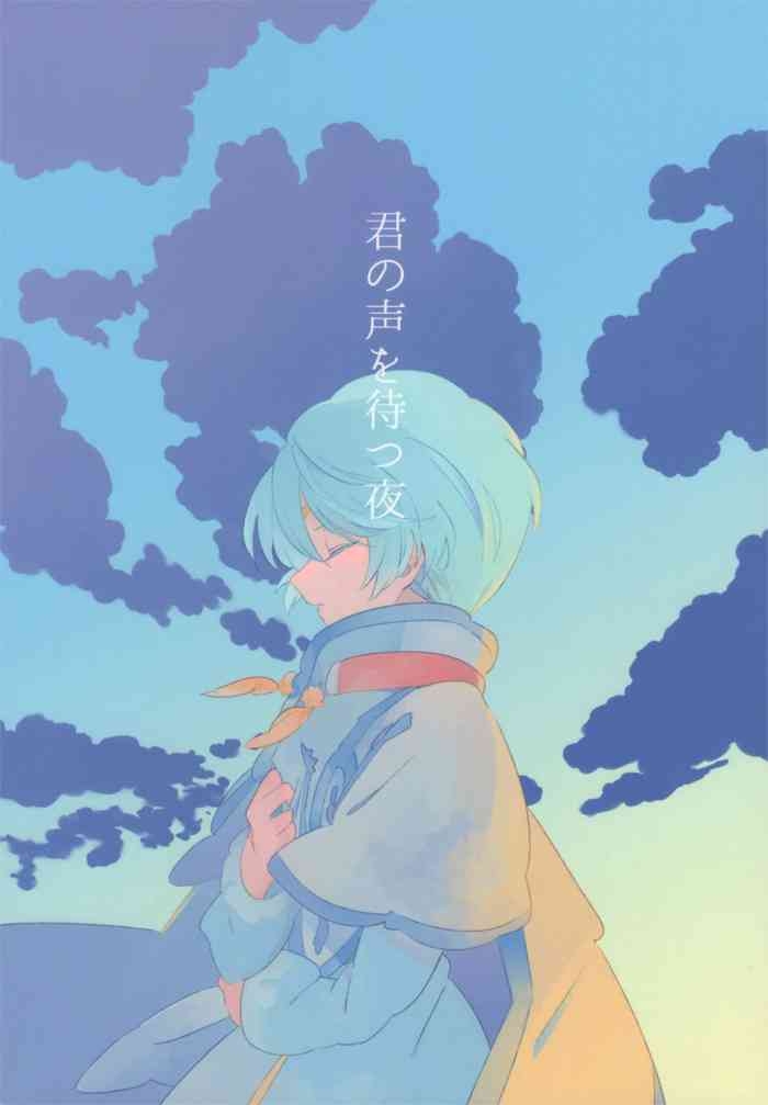 The night waiting for your voice