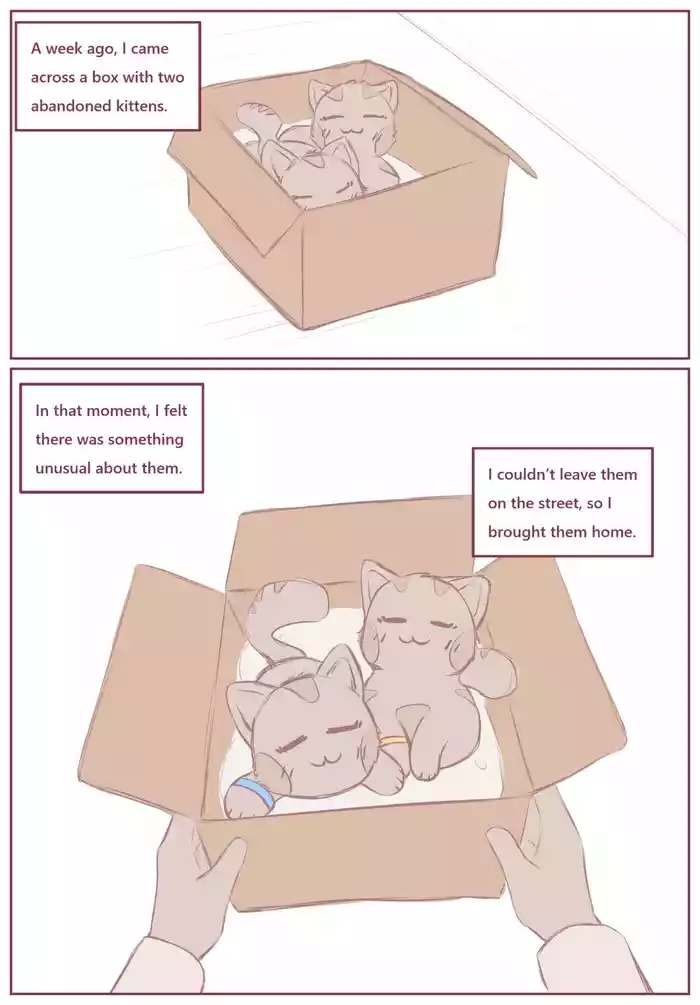 My Submissive Little Kitties