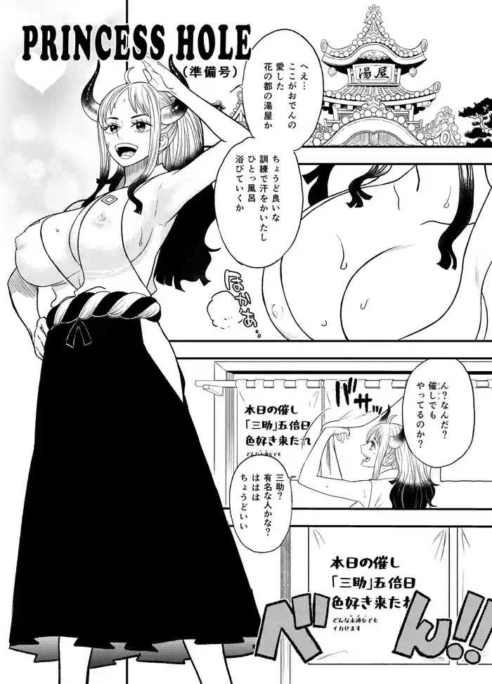 Princess HoleBonus Booklet