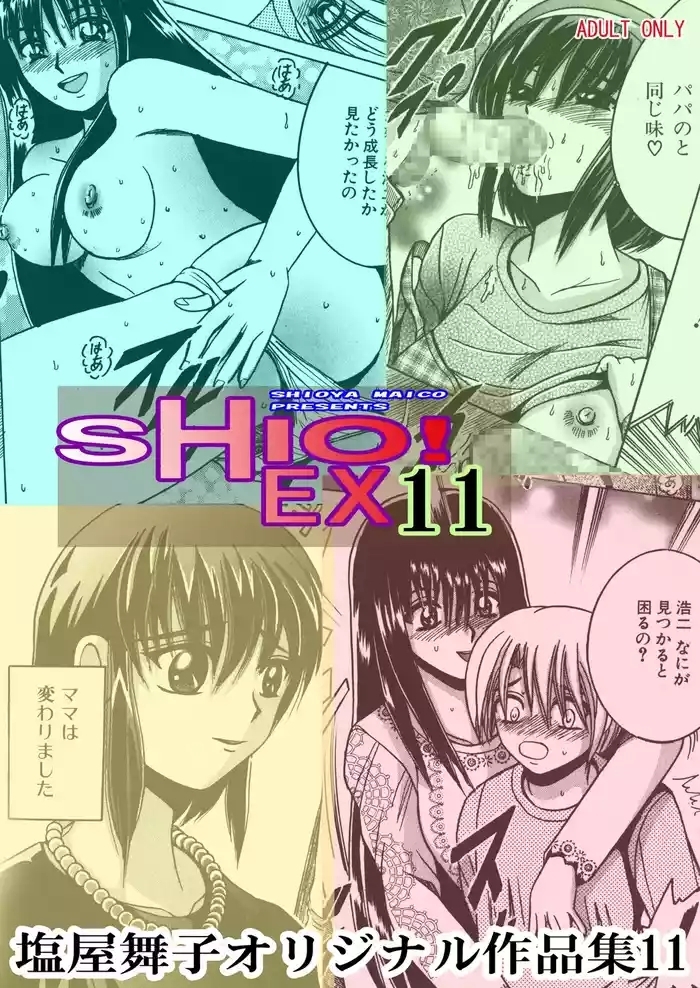 SHIO!EX 11