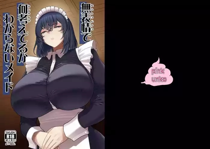 Muhyoujou de Nani Kangaeteru ka Wakaranai Maid