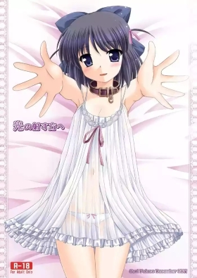Hikari no Sasu Kata e